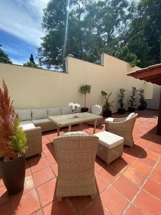 Apartment The Suite Qm Funchal